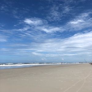 Meet your Posher, Sylvia